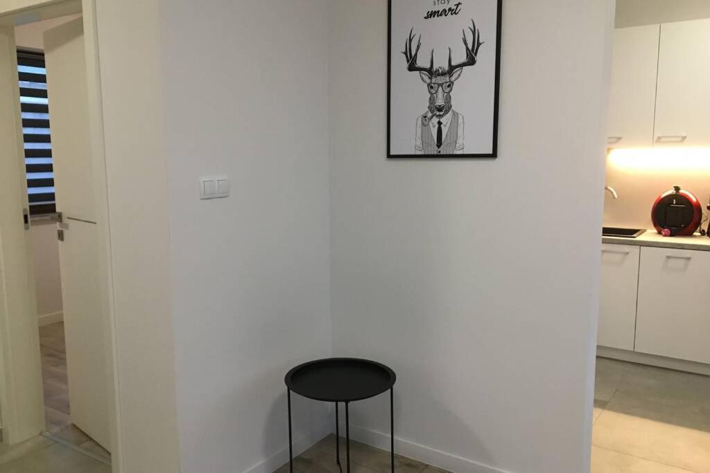 Apartament Fibra Americano Rybnik  Ngoại thất bức ảnh